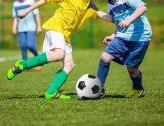 招标启事,冀东海德堡,扶风,乐竞体育官网,APP下载,注册领彩金,官方网站,网站入口